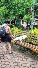 Don't Mess With The Monkeys