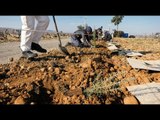 Un “marathon de la biodiversité” dans les vignes de Châteauneuf-du-Pape