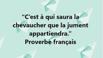 14)“C’est à qui saura la chevaucher que la jument appartiendra.” Proverbe français