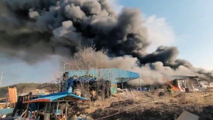 경기 안성에 있는 장어 양식장에서 불...인명 피해 없어 / YTN