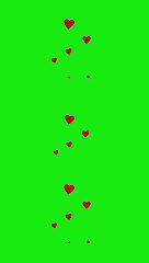 Green Screen Animal Paw HD