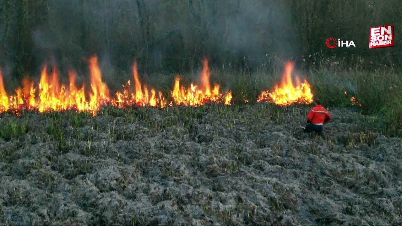 Sakarya'da çıkan yangında 100 dönümlük arazi kül oldu