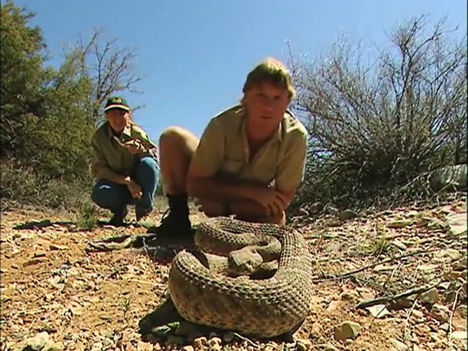 The Crocodile Hunter - Ep26 HD Watch