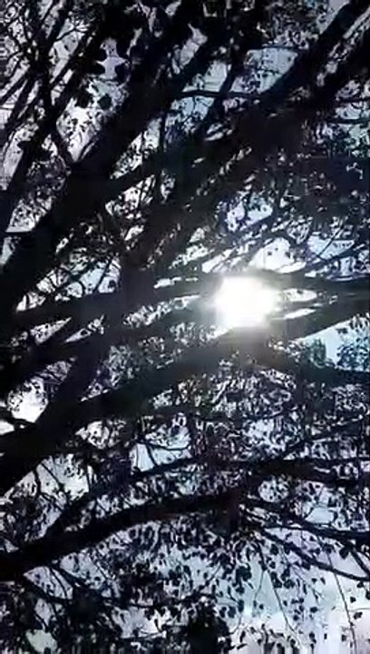 Another_Day_in_Namma_Hubballi_❤️_#shorts_#trendingshorts__#minivlog_#hubballi(360p)