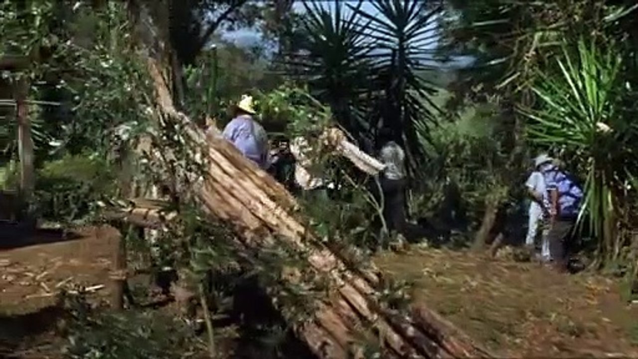 Die Versuchung des Padre Amaro (2002)