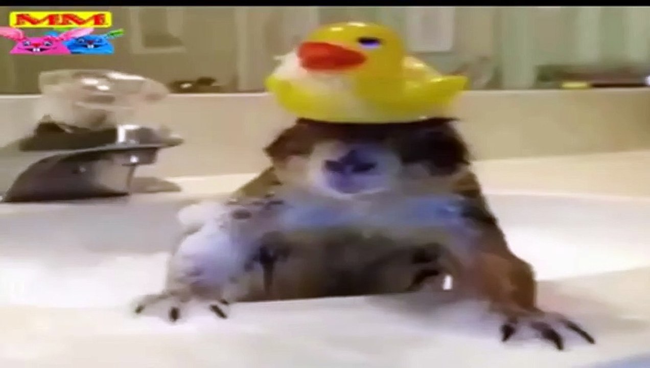 مقاطع مضحكة اللعب لن تنساها أبدًا