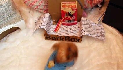 UNBOX W_ ME! BIRCHBOX, IPSY, BARKBOX, NATUREBOX & GLOSSY BOX!