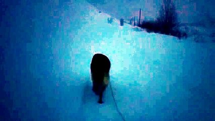 Rescate en las Cabañas del Bernacho.