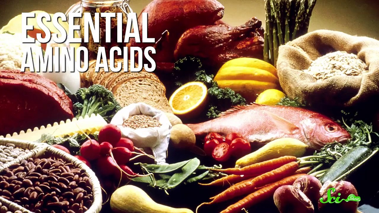 The 5 Most Important Molecules in Your Body