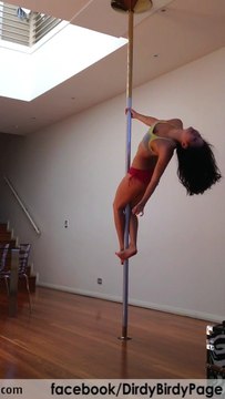 Pole Dancing -Vid 46- Freestyle by Dirdy Birdy to _Powerful Love_ by Chuck and Mac