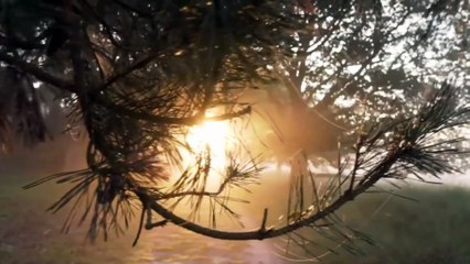 Trey Knowles - God Loves Me