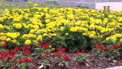 Hà Nội đặt mục tiêu phát triển công viên cây xanh