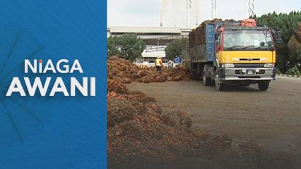 MSM Mingguan | Tumpu kepada data eksport penyelidik kargo minggu ini