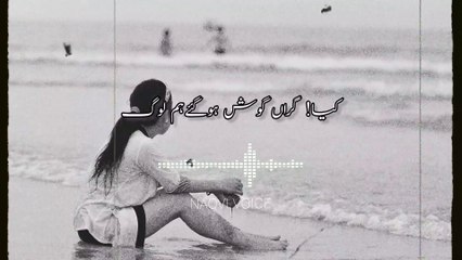 Kitne Ba-hosh Ho Gae Hum Log | कितने बा-होश हो गए हम लोग | Naqvi Voice