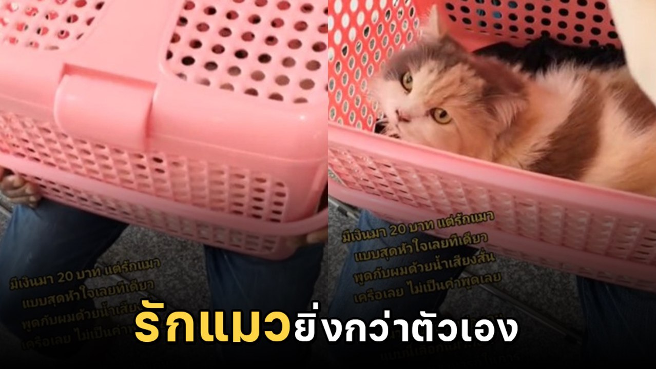 หนุ่มกำเงิน 20 บาท ก้อนสุดท้ายของชีวิต รักษาแมว...