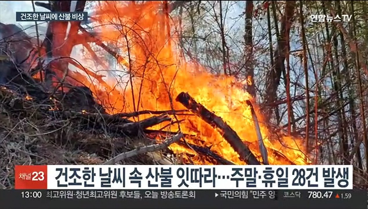 메마른 날씨에 강풍…산불재난 위기경보 '주의' 상향