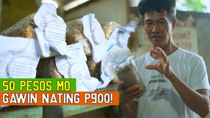 50 pesos mo gawin nating 900!