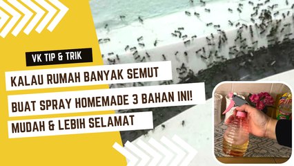 DIY Spray Mudah & Selamat Atasi Masalah Semut Banyak Di Rumah