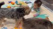 Puppy kisses - Adorable baby and cute dogs cannot get enough of each other