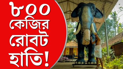 কেরলে মন্দিরের জন্য তৈরি  হল ৮০০ কেজির রোবট হাতি