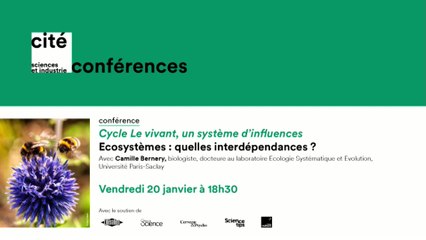 Ecosystèmes : quelles interdépendances ?