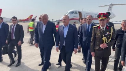Çavuşoğlu, Mısır Dışişleri Bakanı Sayın Sameh Shoukry'i Adana Şakirpaşa Havalimanı'nda karşıladı