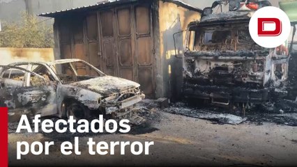 El ataque colono que ha dejado centenares de heridos en Israel
