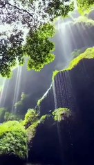 Nature Whats App Status Wiral Video