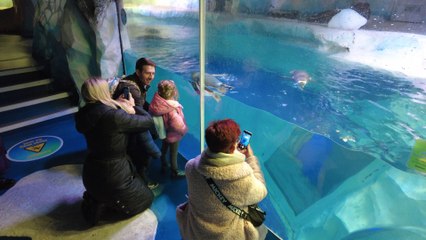 Bragging rights: Birmingham’s National Sea Life Centre