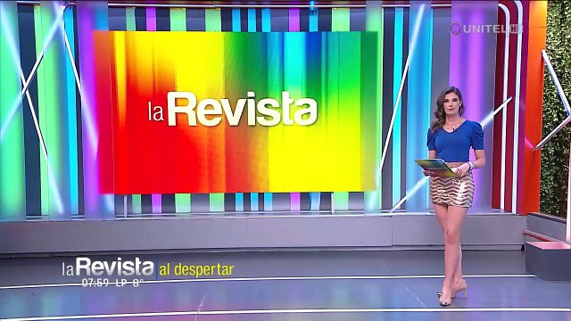 Un 30% de trámites para vidrios polarizados se rechazó y ratifican inicio de controles este 1 de marzo