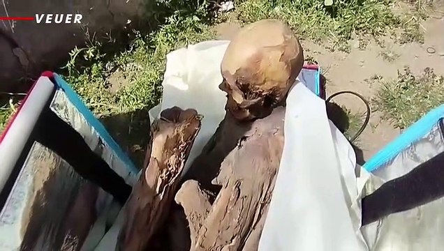 Peruvian Mummy Found in Man's Cooler Bag