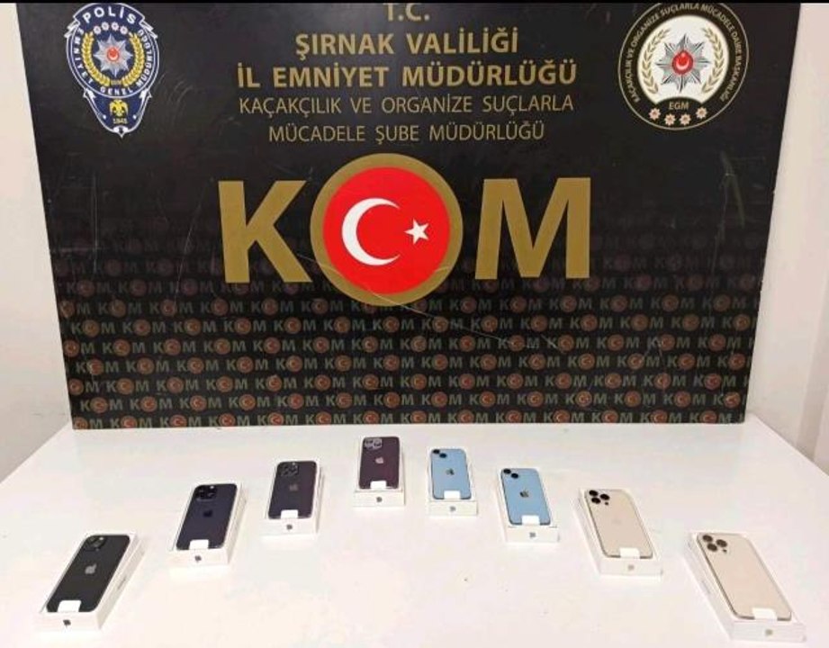 Şırnak'ta asayiş ve kaçakçılık operasyonu: 49 gözaltı