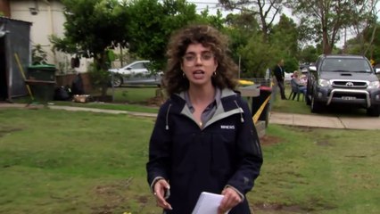 Sydney lashed with heavy rain and thunderstorms overnight