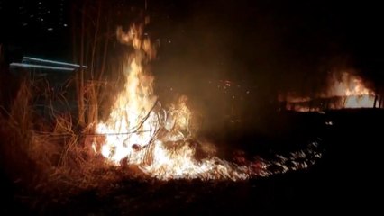 자전거도로 나무에 잇따라 불 지른 50대...구속영장 기각 / YTN