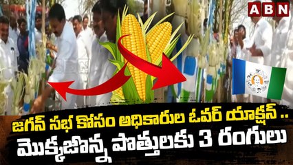 జగన్ సభ కోసం అధికారుల ఓవర్ యాక్షన్ .. మొక్కజొన్న పొత్తులకు 3 రంగులు  _ ABN Telugu