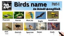 Birds name in hindi and english/ पक्षियों के नाम हिंदी और इंग्लिश में/commen word meaning#sabdcosh 111#learn english#english/commen word meaning