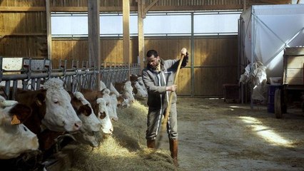Cyrille, agriculteur, 30 ans, 20 vaches, du lait, du beurre, des dettes