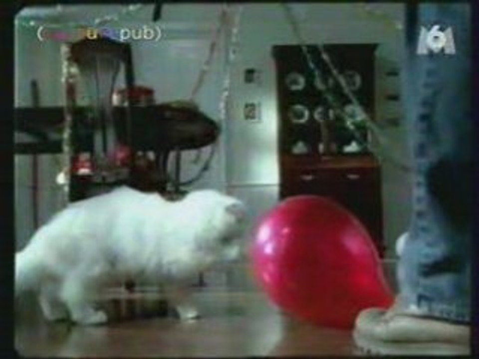 Pub Culture Pub - Chat