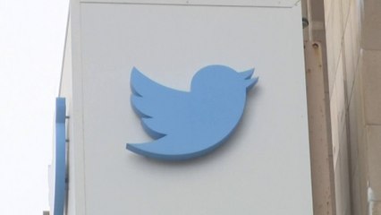 إيلون ماسك يواصل تسريح القوة العاملة في تويتر