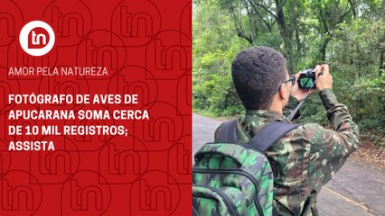 Fotógrafo de aves de Apucarana soma cerca de 10 mil registros; assista