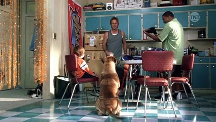 下载视频: Spot - Ein Hund auf Abwegen (2001) Filme Deustche HD