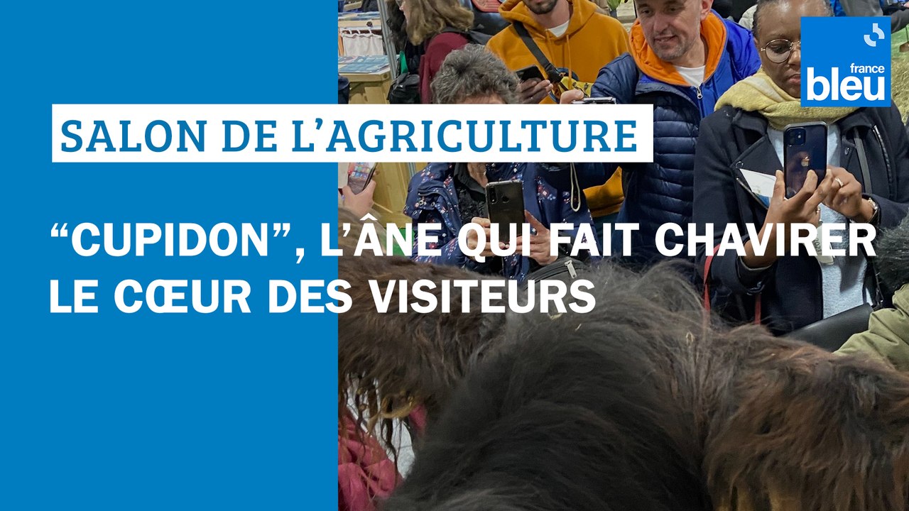VIDÉO - La Dordogne au Salon de l'agriculture : l'âne Cupidon, le "ténor de l'amour" fait chavirer les visiteurs