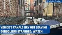 Venice's canals run dry as Italy faces frequent droughts as result of climate change | Oneindia News