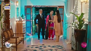 Mujhe Pyaar Hua Tha Episode 12 - ARY Digital