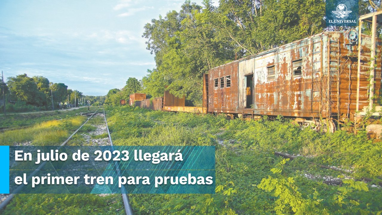 1° de diciembre inicia operaciones el Tren Maya, asegura Sedena
