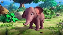 The-Jungle-Book-Cartoons-in-Urdu-Season-_6