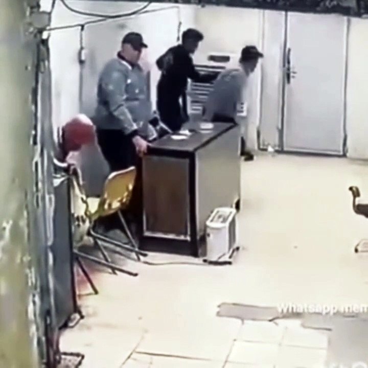 Dogs bite men everyday