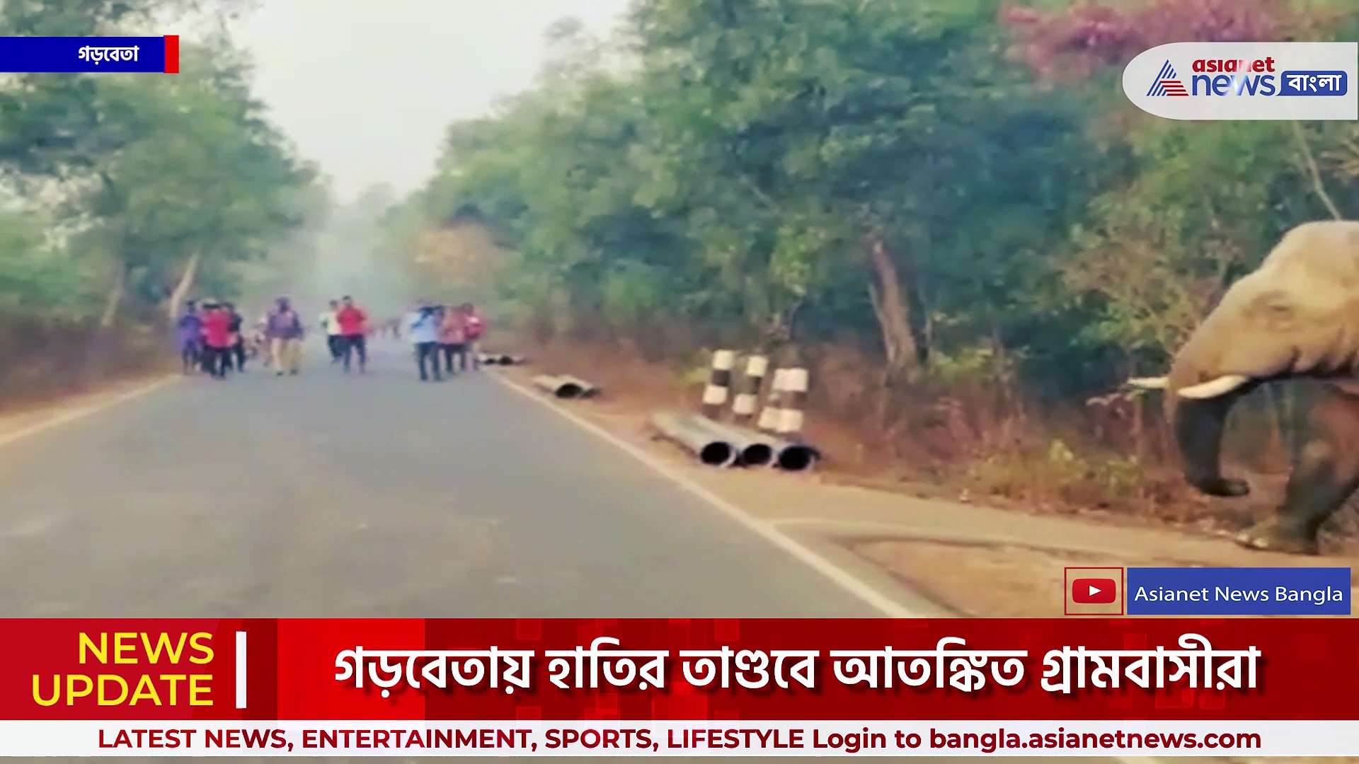 গড়বেতায় হাতির তাণ্ডবে আতঙ্কিত গ্রামবাসীরা, তাড়া করে হাতিকে গ্রামছাড়া করল গ্রামের যুবকরা