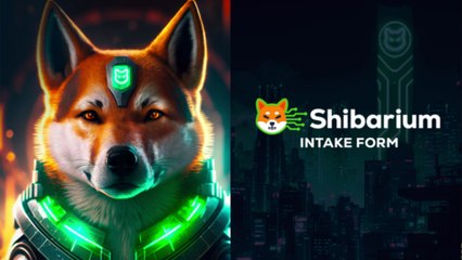shiba inu coin update