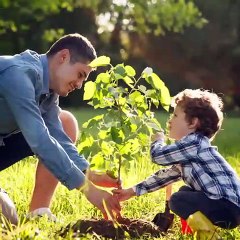 Senado informa: Video Medio ambiente sano
